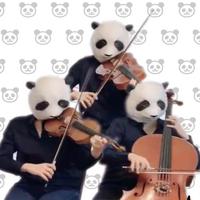 PANDAYAチャンネル profile image